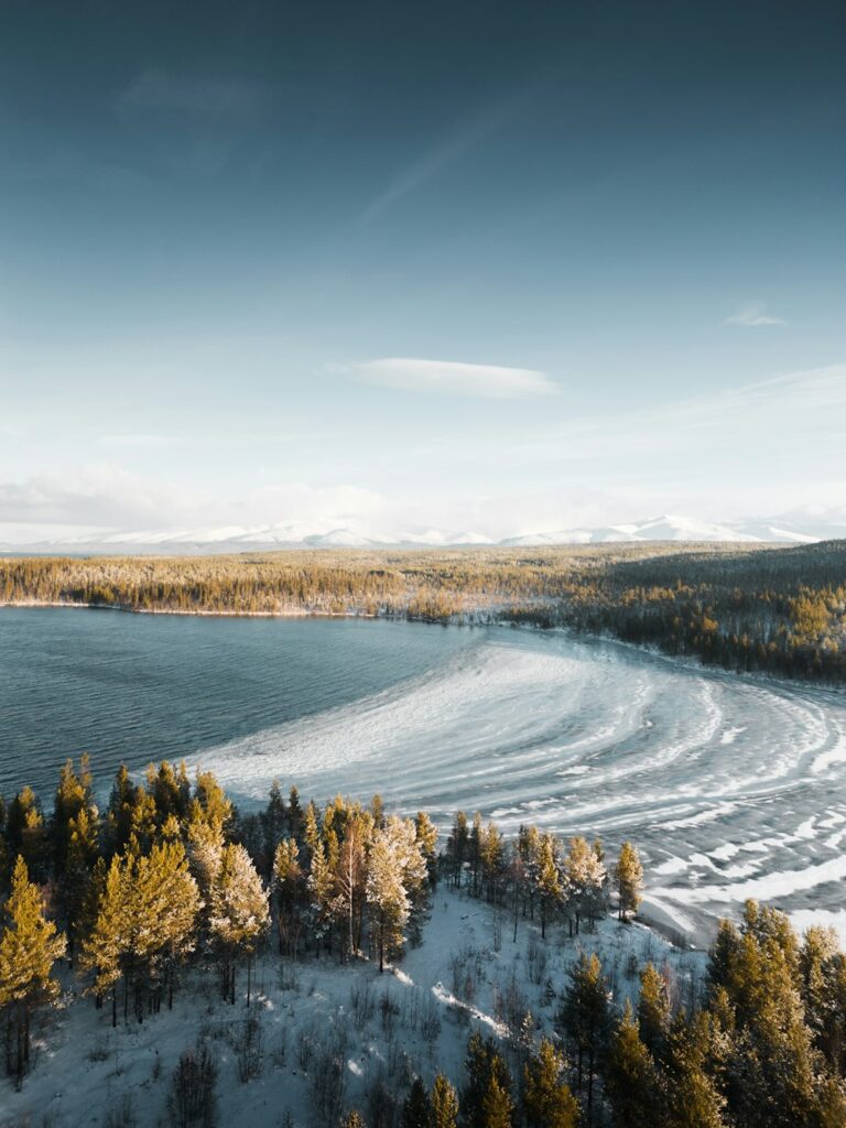 a large body of water surrounded by trees