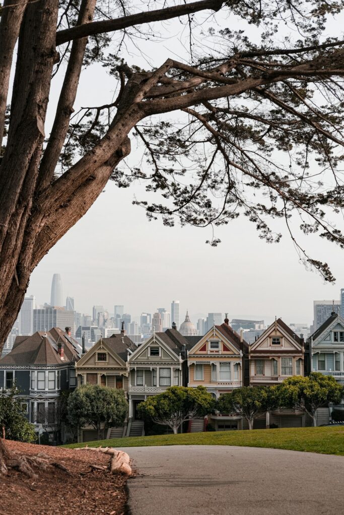 a row of houses with a city in the background