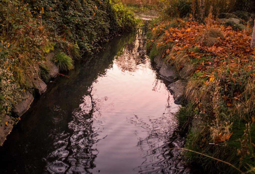 Autumn Leaves River Reflection Free Stock HD Photo