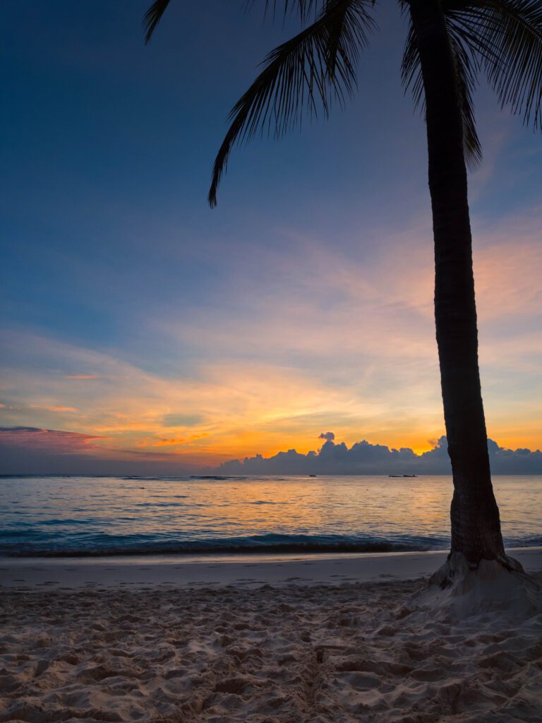 Tropical Beach Sunset Free Stock HD Photo