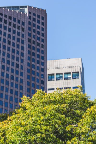 City Buildings Tree Free Stock HD Photo