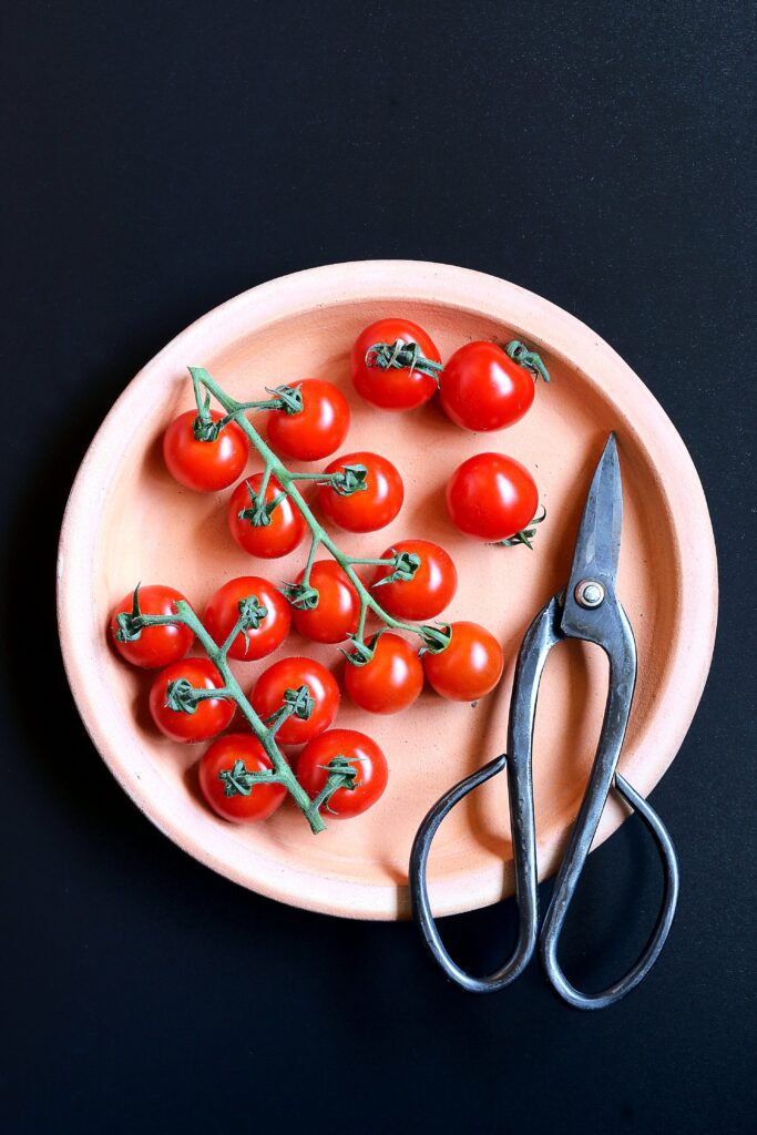 Tomatoes Plate Food Free Stock HD Photo