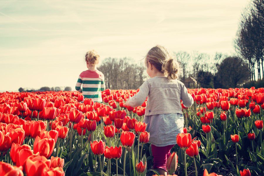 Children in Garden Free Stock HD Photo