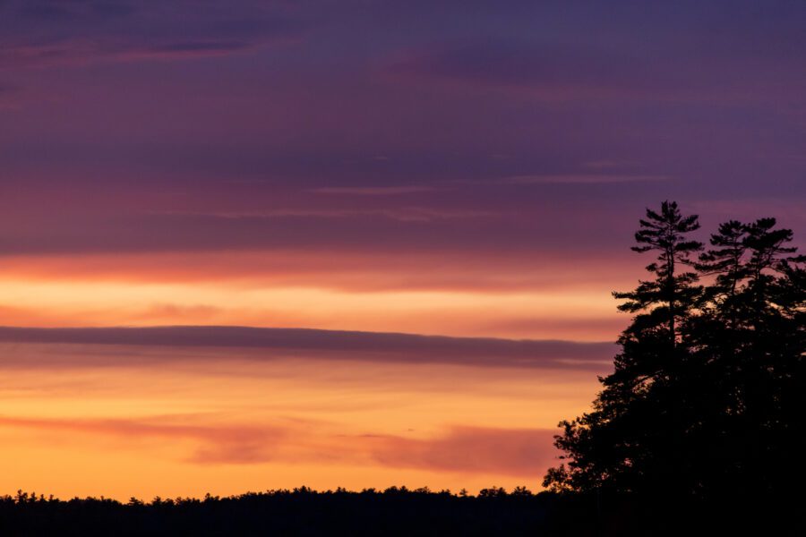 Sunset Clouds Trees Free Stock HD Photo