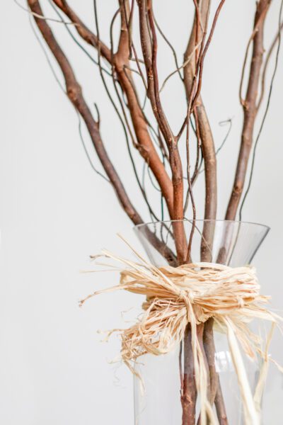 Decorative Vase Branches Free Stock HD Photo