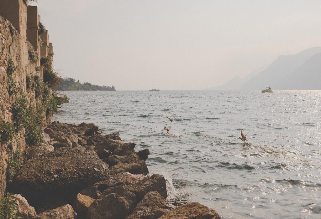 Ducks Take Flight From Lake Free Stock HD Photo