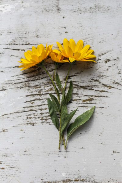 Flat lay Rustic Flowers Free Stock HD Photo