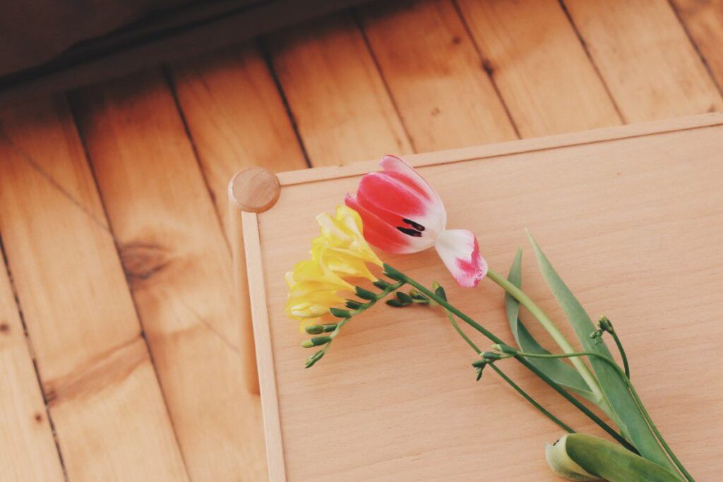 Flowers in Blossom Free Stock HD Photo