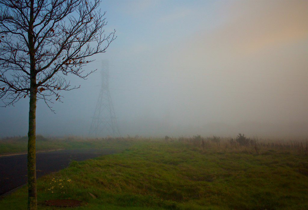 Autumn Fog Free Stock HD Photo