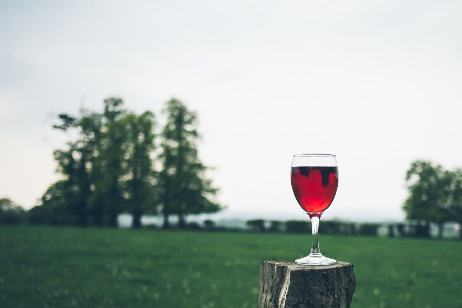 Glass Red Wine Free Stock HD Photo