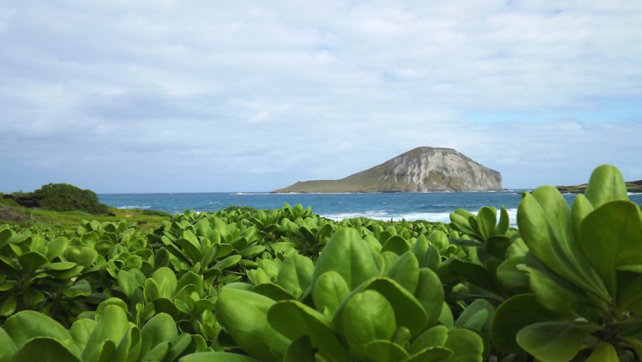 Hawaii Water Landscape Free Stock HD Photo