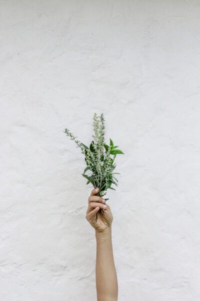 Hand Holding Flowers Free Stock HD Photo