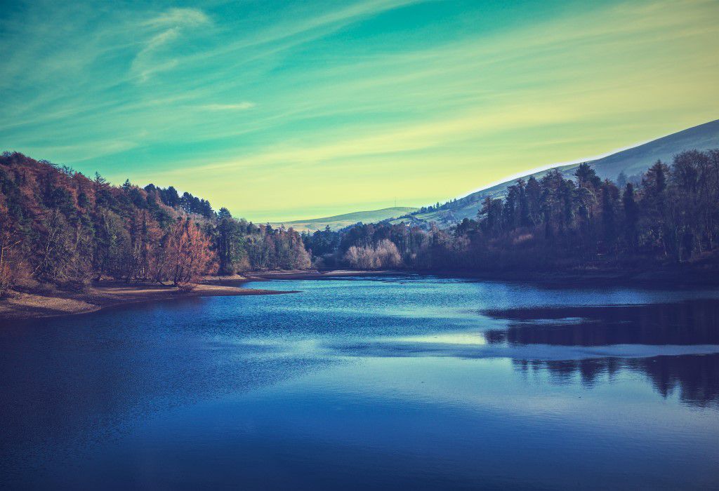 A Lake In A Forest Free Stock HD Photo