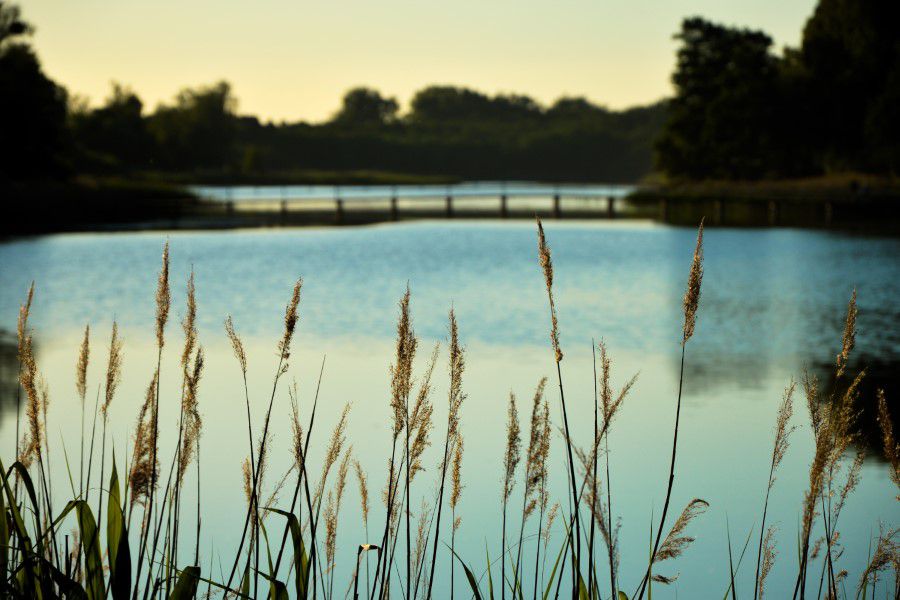 Lake View Bridge Free Stock HD Photo