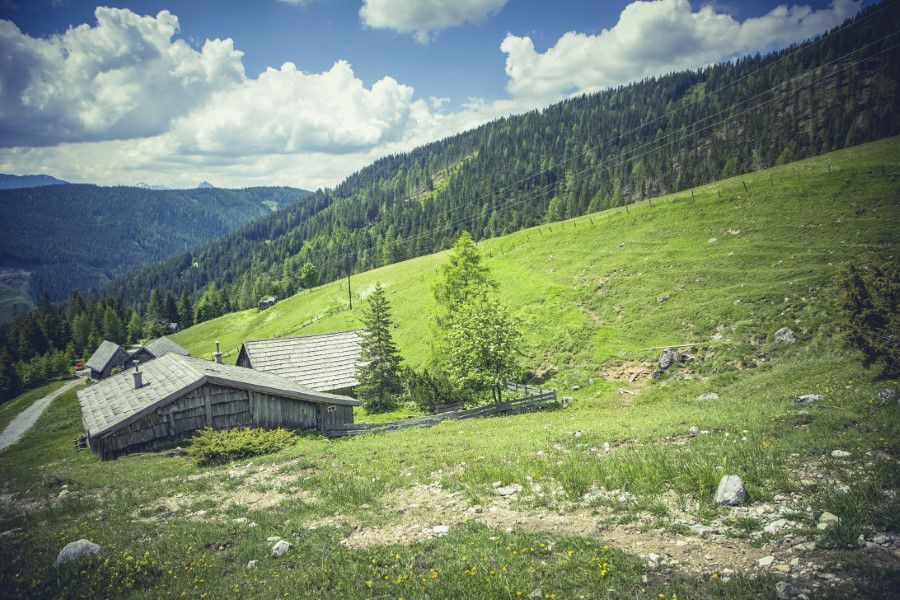 Log Cabin Mountain Forest Free Stock HD Photo