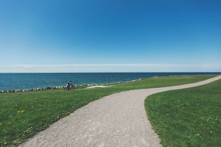 Man Cycling Path Free Stock HD Photo