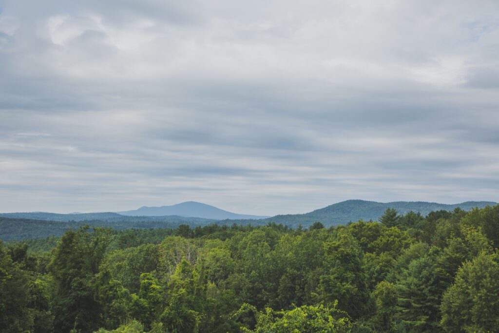 Horizon Trees Landscape Free Stock HD Photo