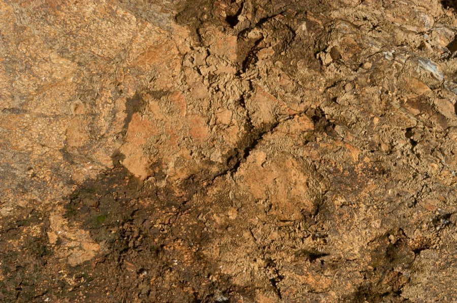 Dirt and Rock Texture Free Stock HD Photo