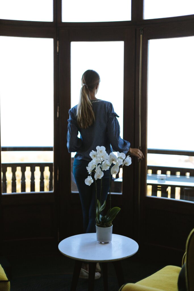 Orchid Woman Window Free Stock HD Photo