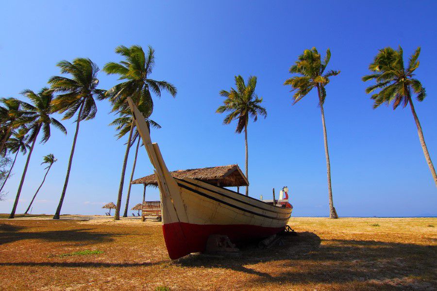 Palm Trees & Boat Free Stock HD Photo