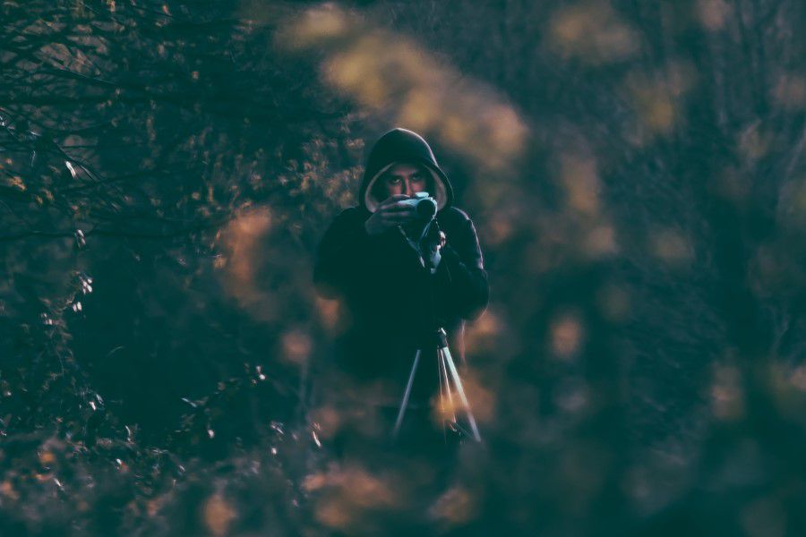 Photographer in Forest Man Free Stock HD Photo