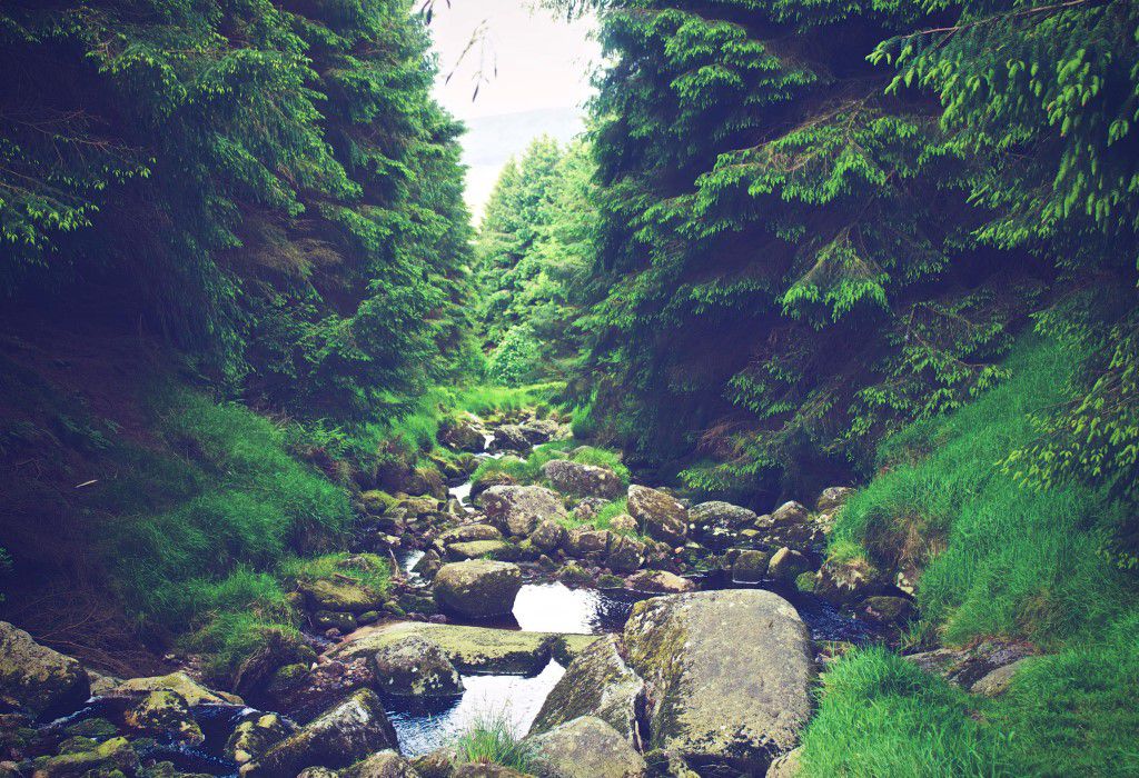 Rocky Stream in Spring Free Stock HD Photo