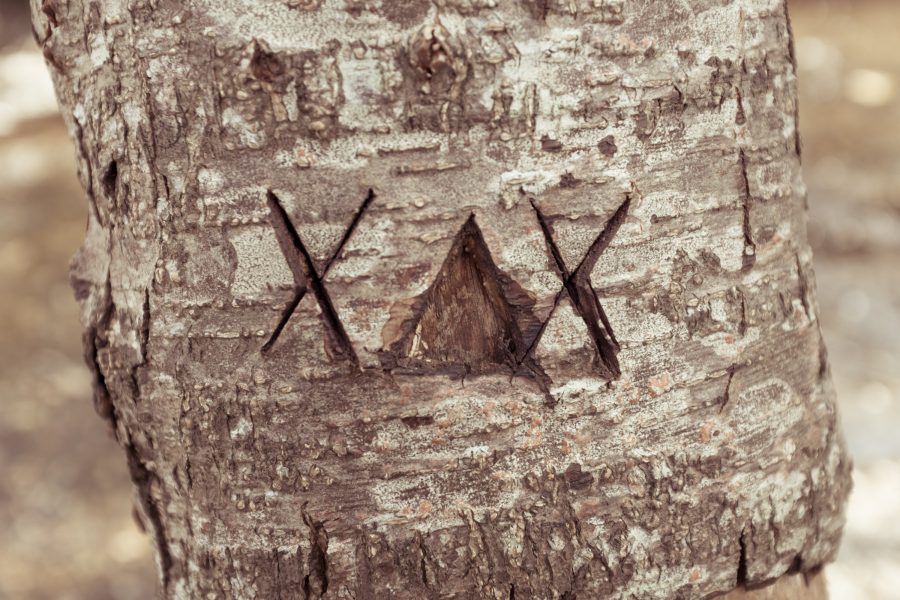 Scratched Text Tree Free Stock HD Photo