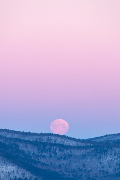 Rising Full Moon Free Stock HD Photo