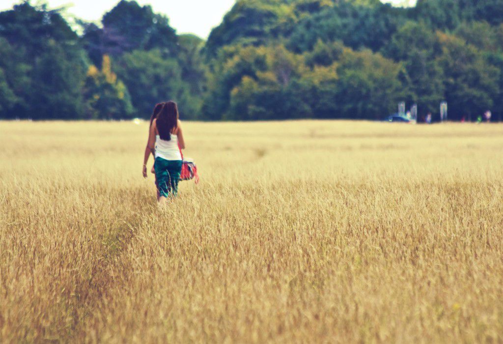 Path Through the Field Free Stock HD Photo