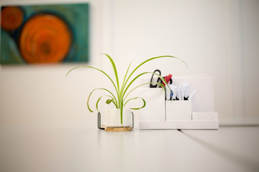 House Plant Desk Free Stock HD Photo