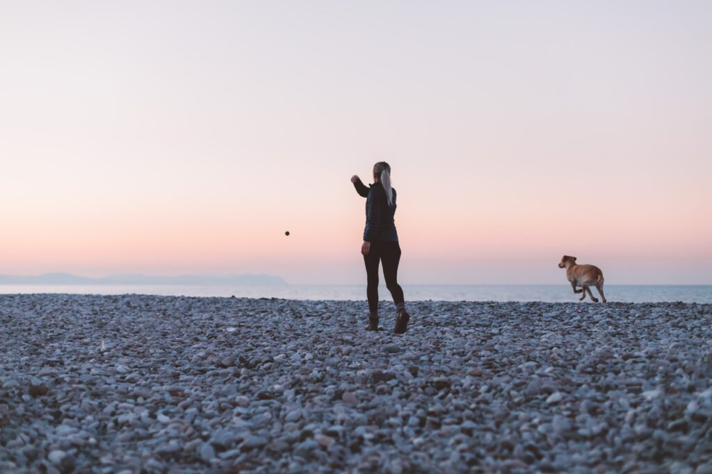 Walking Dog Beach Free Stock HD Photo