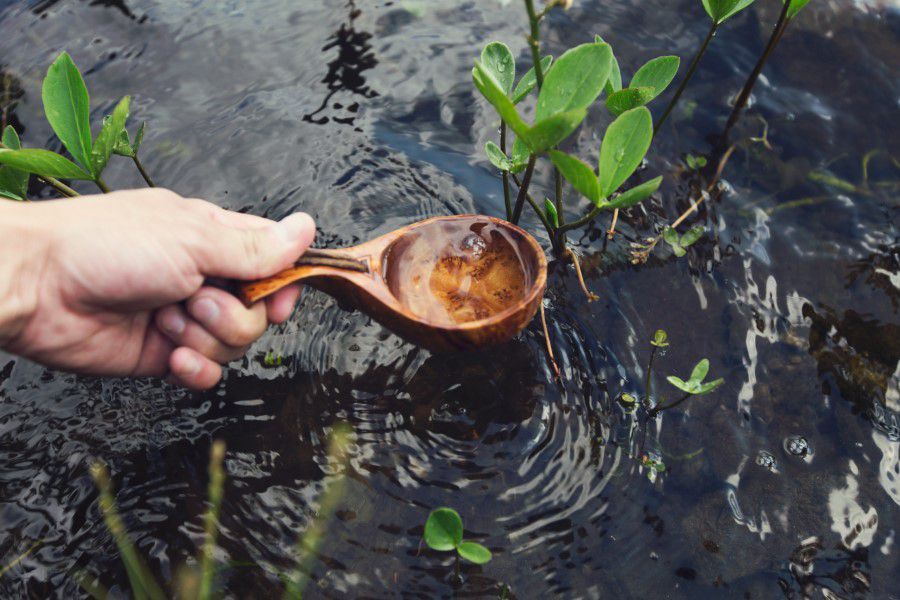 Wooden Spoon in Water Free Stock HD Photo