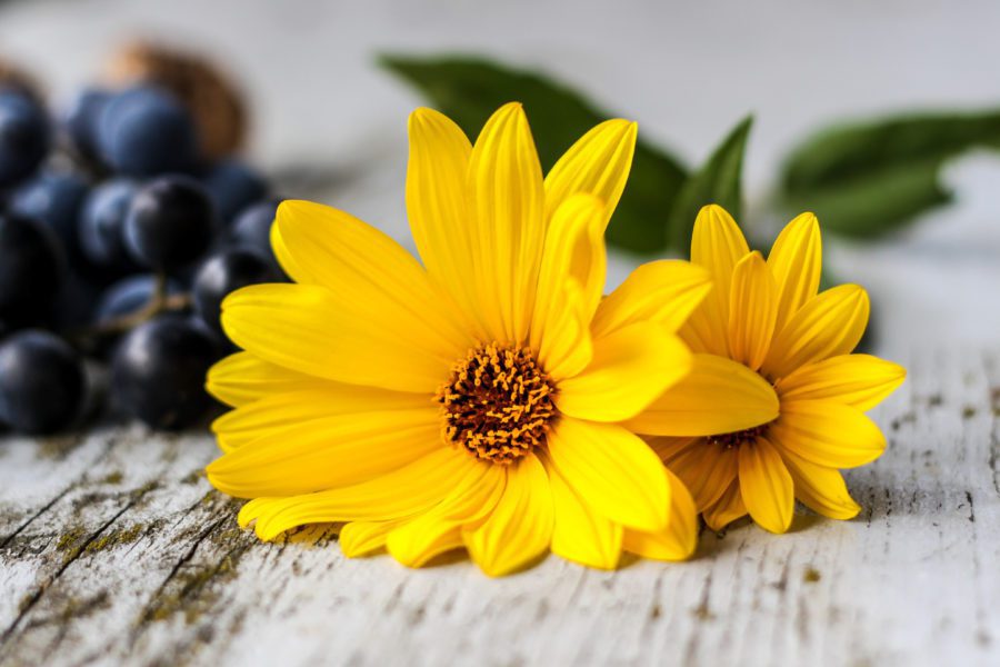 Flowers on Rustic Table Free Stock HD Photo