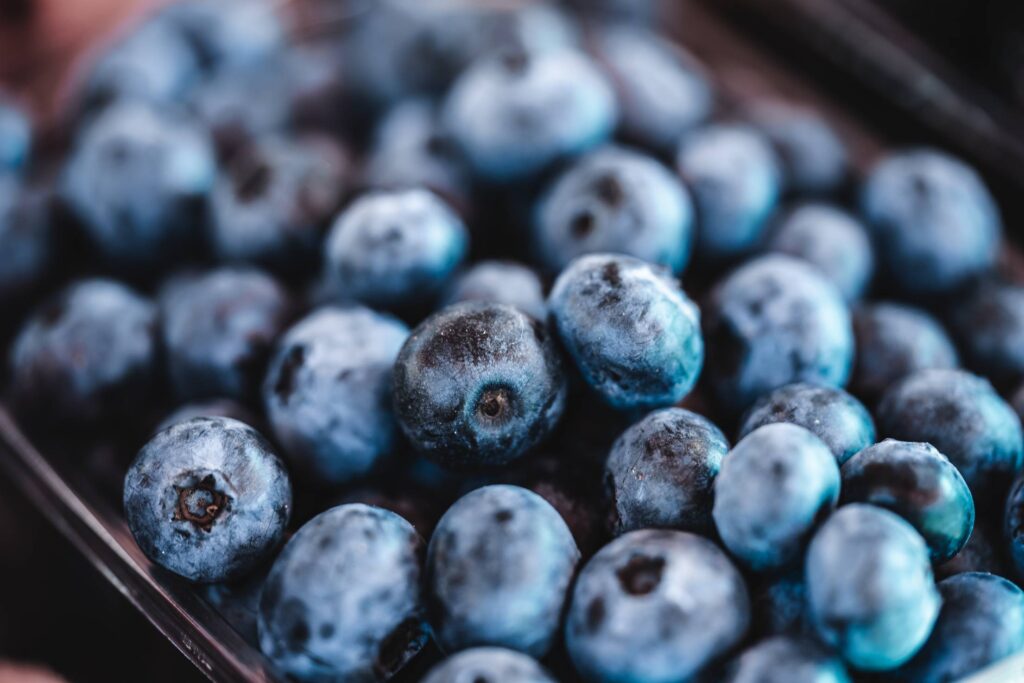 Pile of Blueberries Free Photo