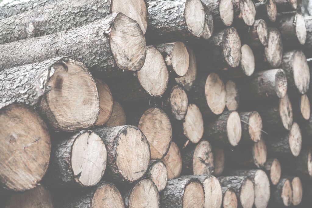 Pile of Felled Wood Logs Desaturated Free Photo