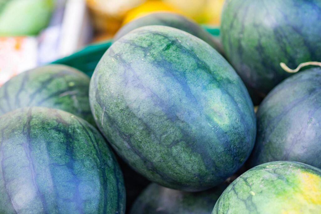 Pile of watermelon for sale in the market Stock Free