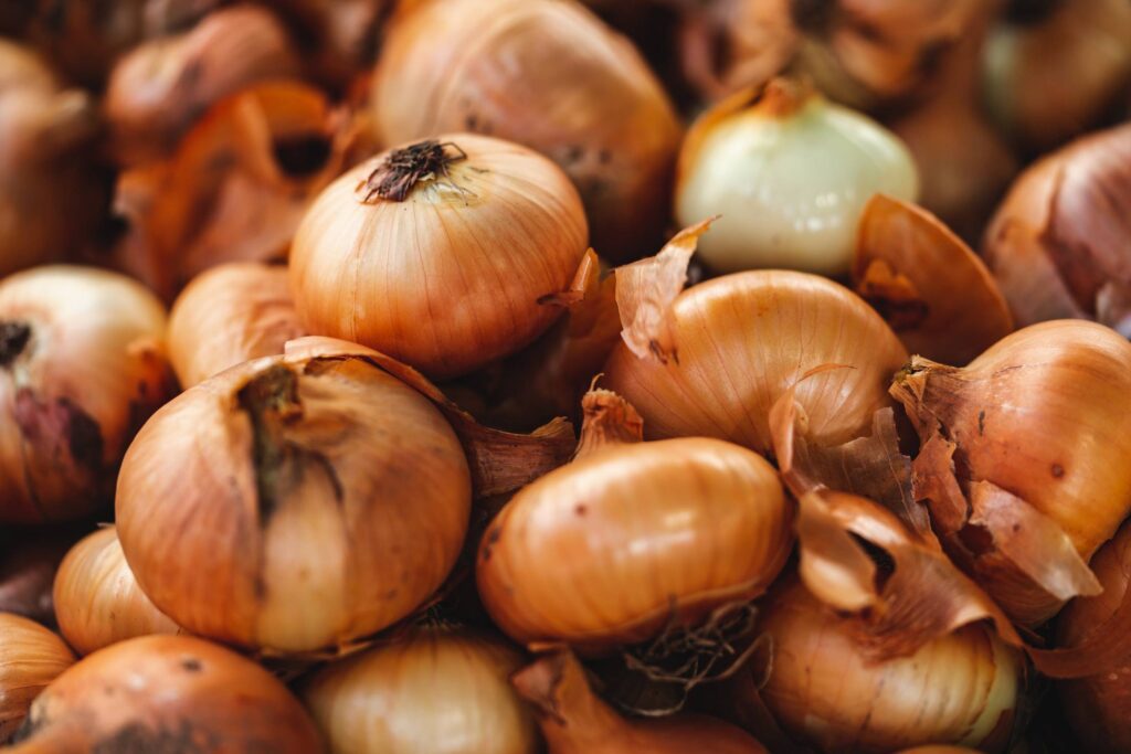 Pile of Yellow Onions Free Photo