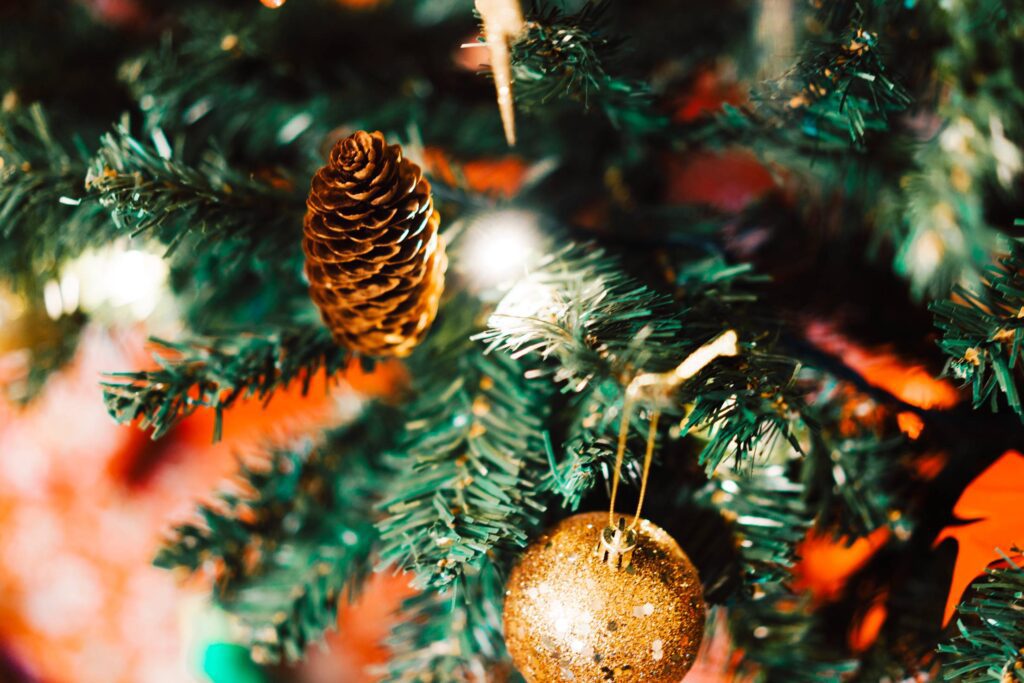 Pine Cone on Christmas Tree Close Up Free Photo