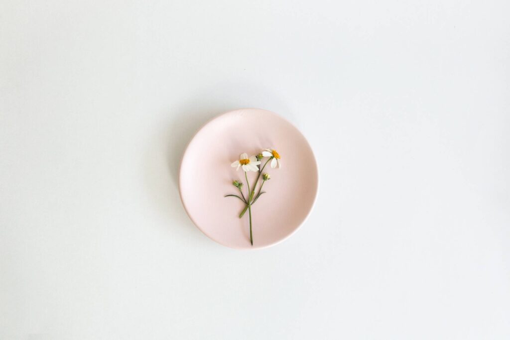 Pink Plate with Chamomile Flower Free Photo