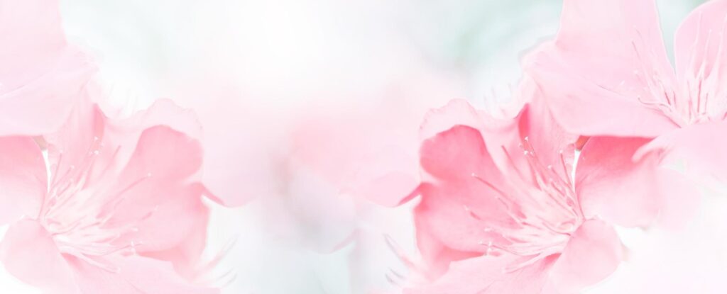 Pink red beautiful spring flower bloom branch background with free copy space for greeting card or environment cover page, template, web banner and header. Stock Free