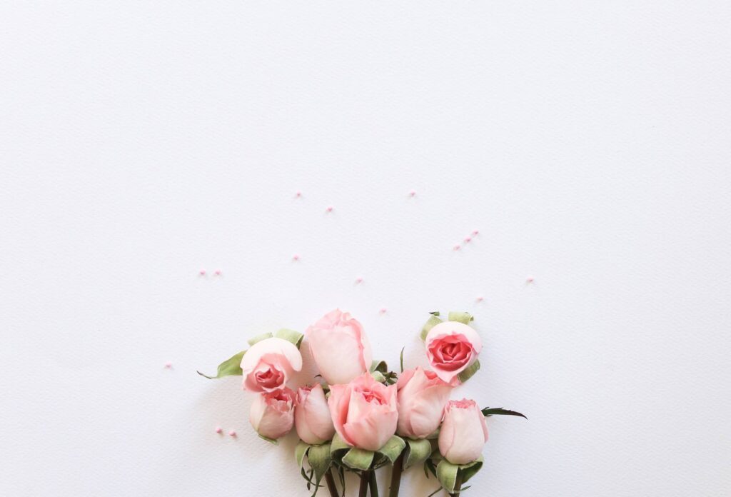 Pink Roses Flat Lay Free Photo