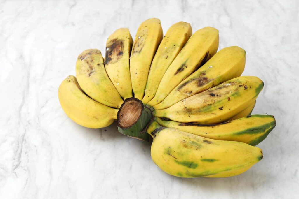 Pisang Kepok Kuning musa acuminata Stock Free