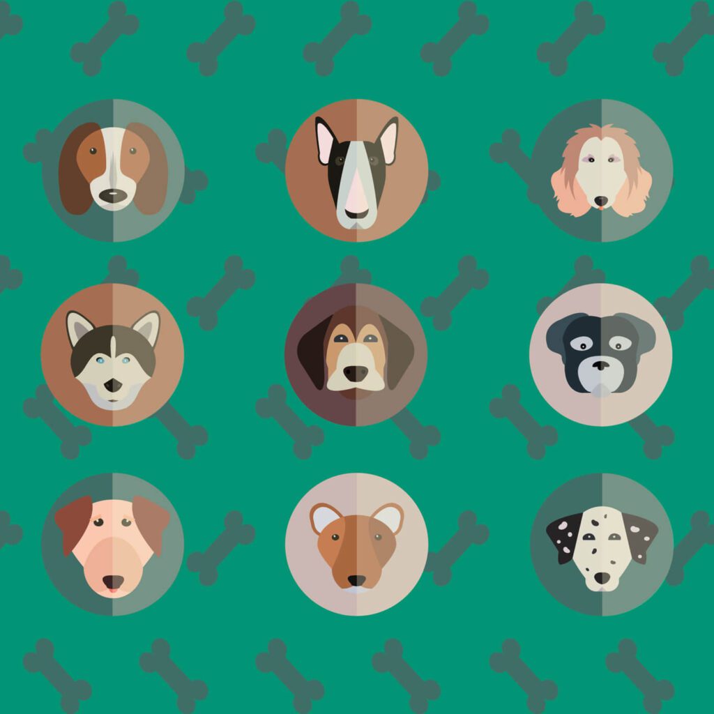 Vector illustration of cute dogs head set for free vector design