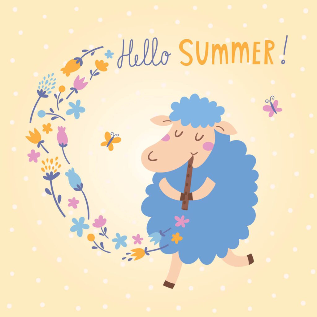 Vector illustration of cute sheep. Hello Summer!