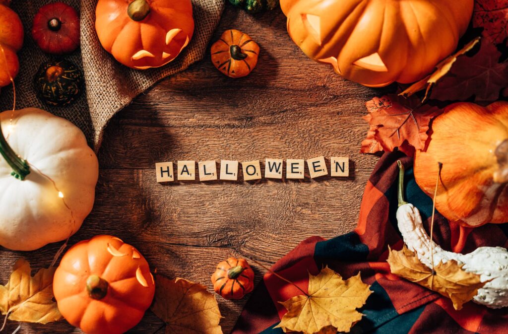 Pumpkin Flat Lay HALLOWEEN Free Photo