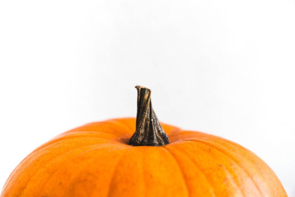 Pumpkin on a White Background Free Photo