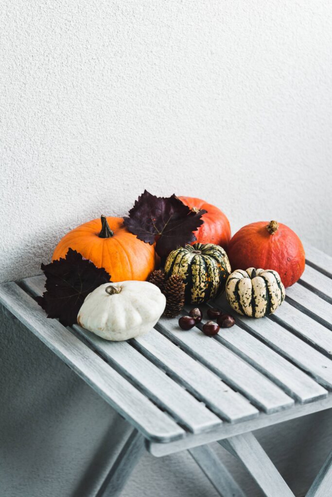 Pumpkins in Different Shapes as Fall Decorations Free Photo