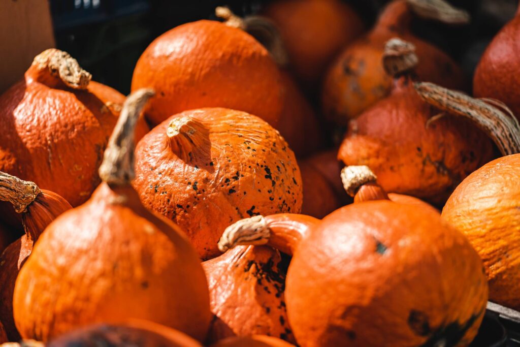 Pumpkins on Farmers Market Free Photo