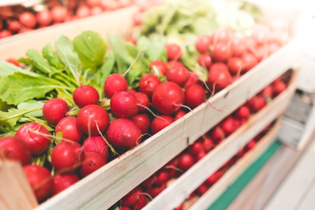 Radishes Free Photo