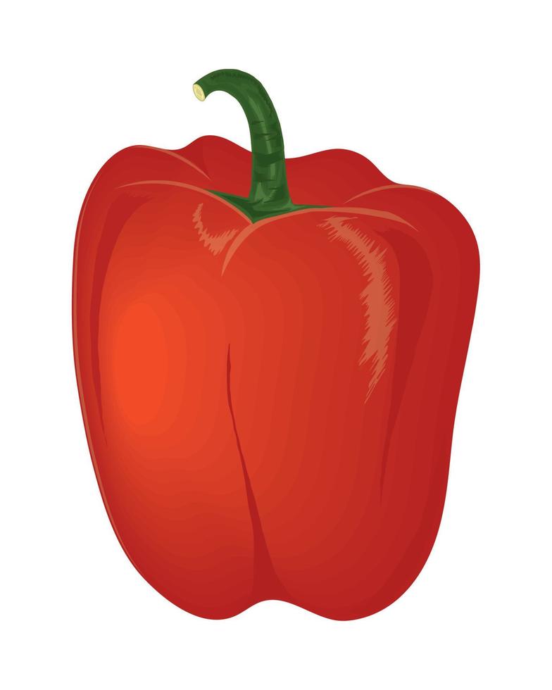 red pepper vegetable icon Stock Free